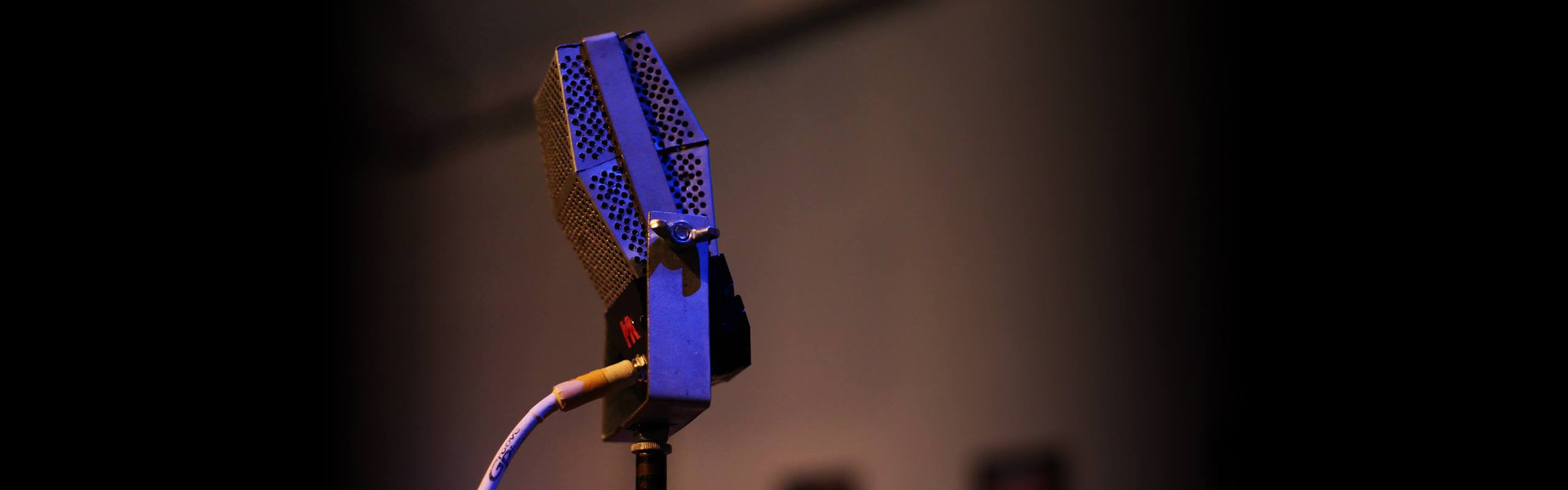 custom microphone